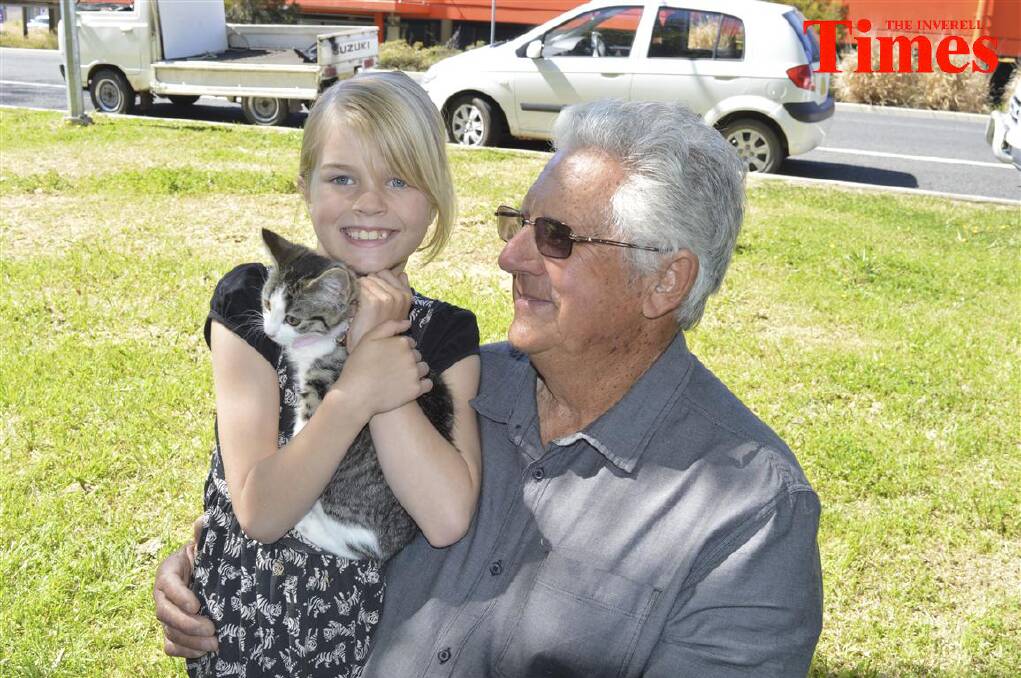 HORSES FOR COURSES: Barry Moore with Kaja Robinson and a kitten up for adoption, at the Inverell RSPCA branch stand at the local markets. He says adopting horses is a great idea, too. Photo: Harold Konz