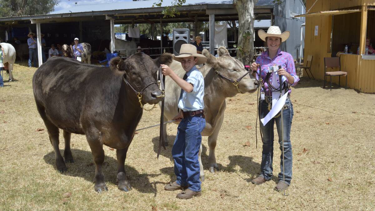 FLASHBACK: Cattle juding has been a main part of successive shows, with Red Poll Bos Indicus and other European breeds featured this year. The 149th annual show aims to showcase the region’s agriculture.