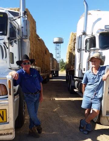  Craig McDonald  and David Henwood will commence the hay run this week.