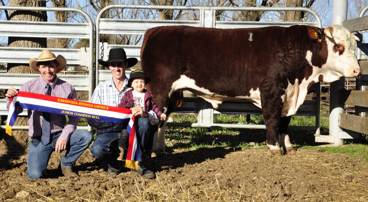 Judge Andrew Klippel, Sugarloaf Creek Herefords, Towong, Victoria with Grant Kneipp, Battalion Herefords, Dundee, and his son Travis. 