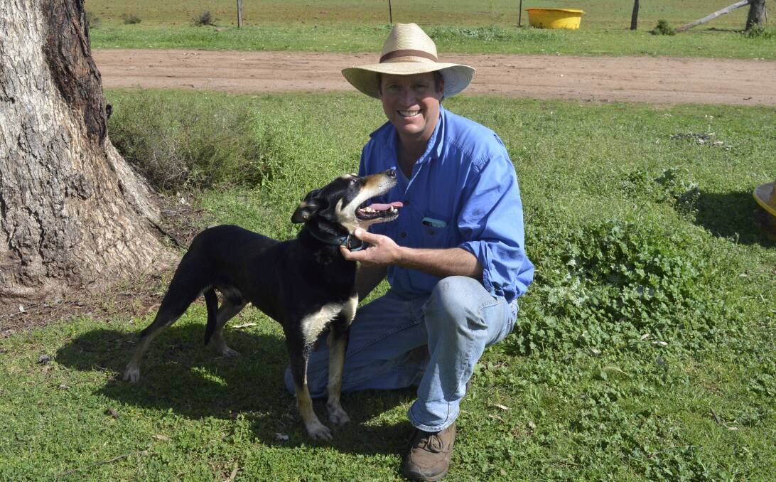 MAN'S BEST FRIEND: Delungra's Matt Ehsman and his seven-year-old dog Minute. Matt breeds working dogs on his property. 