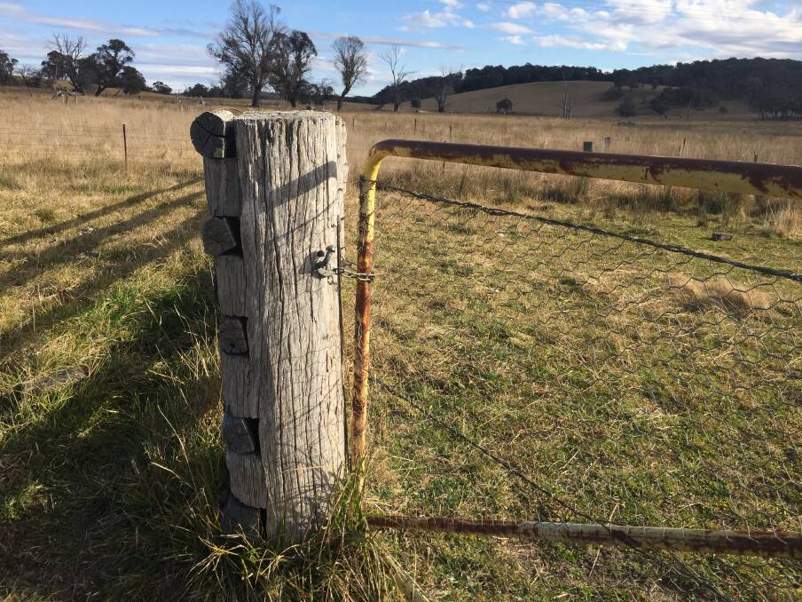 Rural affairs: The Land newspaper will offer an online gateway to NSW Farmers Association conference starting 9am Tuesday July 18. Photo Heidi Gibson