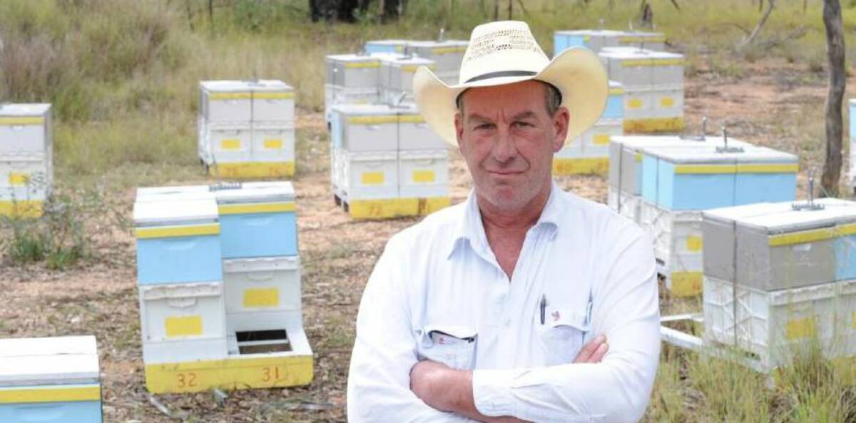 FINALIST: Tingha apiarist Casey Cooper will now be subjected to a farm visit and interview as one of the four finalists.