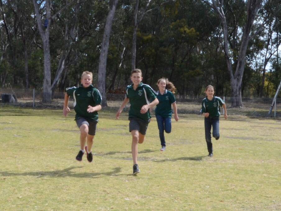 Jarrod White, Will Lindsay, Michaela McKay and Charly Thorpe show off their running skills. 