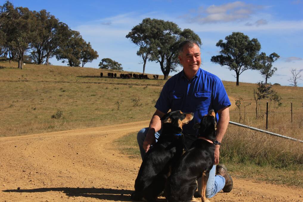 COUNCIL CANDIDATE: Former deputy mayor of Guyra Shire Council Simon Murray with dogs Hank and Brandy at his property in Aberfoyle.