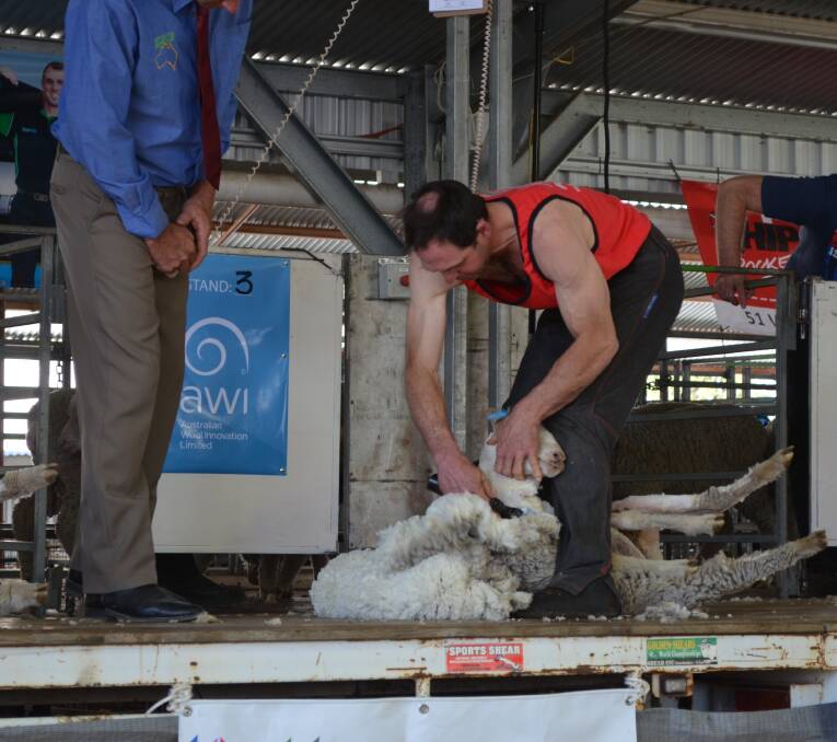 Four down: Jason Campbell, of Glen Innes, competes in the open shearing heat three.