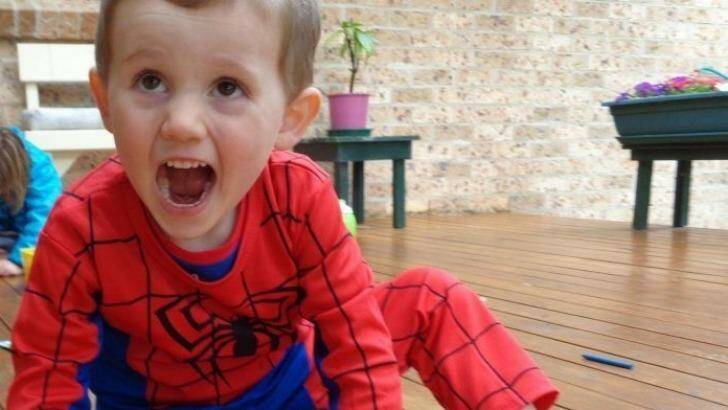 William Tyrrell vanished while playing at his grandmother's house on the Mid North Coast. Photo: Supplied