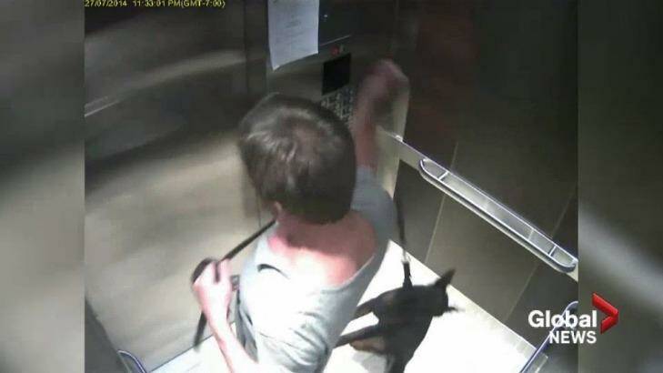 During the attack, Desmond Hague hoisted the dog into the air with its leash. Photo: Global News