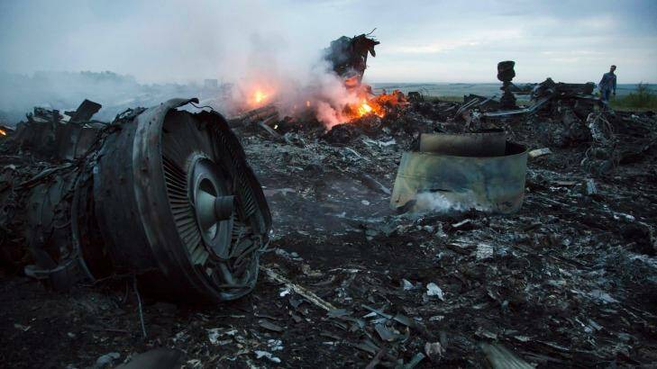 Nearly 40 Australians died when MH17 was shot out of the sky in 2014. Photo: Dmitry Lovetsky 