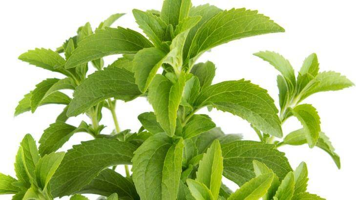 Stevia: a natural alternative to sugar, but still highly refined.