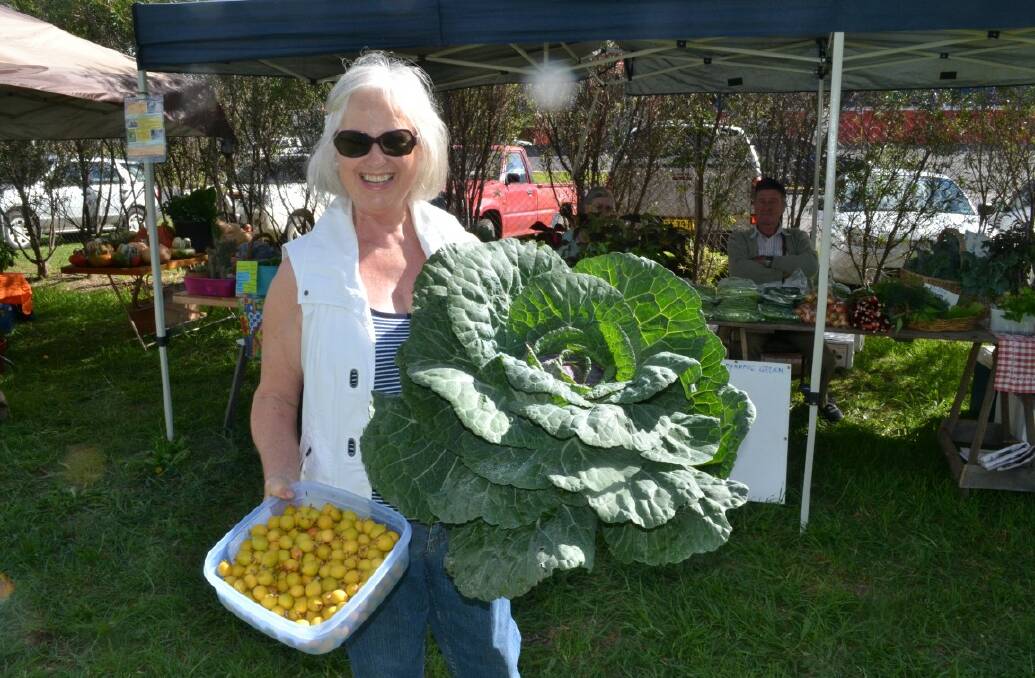 Jenny Cracknell with her Organic, Purple Savoy Re growth cabbage and strawberry guavas. Photo by Harold Konz No 8719