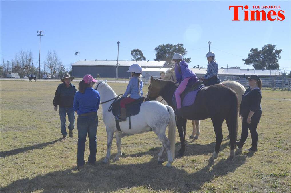 Photos from the Association's Horse Day