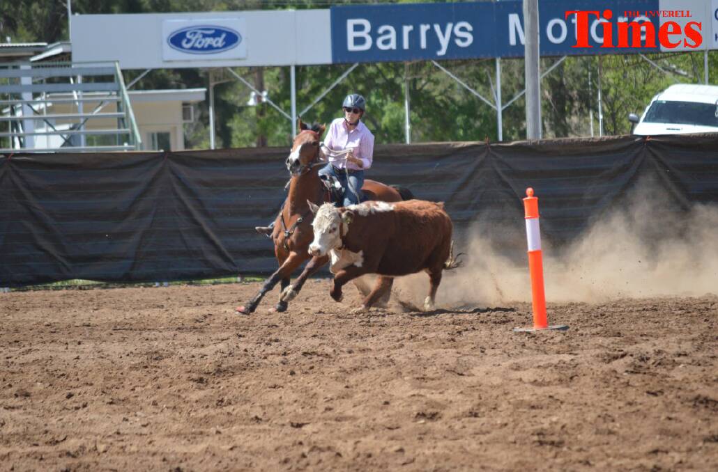 Photos from the weekend Campdraft in Inverell