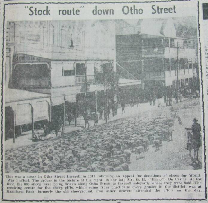 Sale of 800 sheep for WW1.