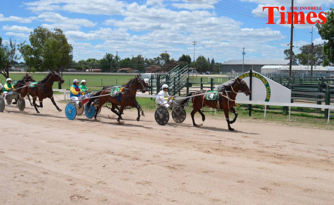 All the photos from the Harness Racing on Sunday