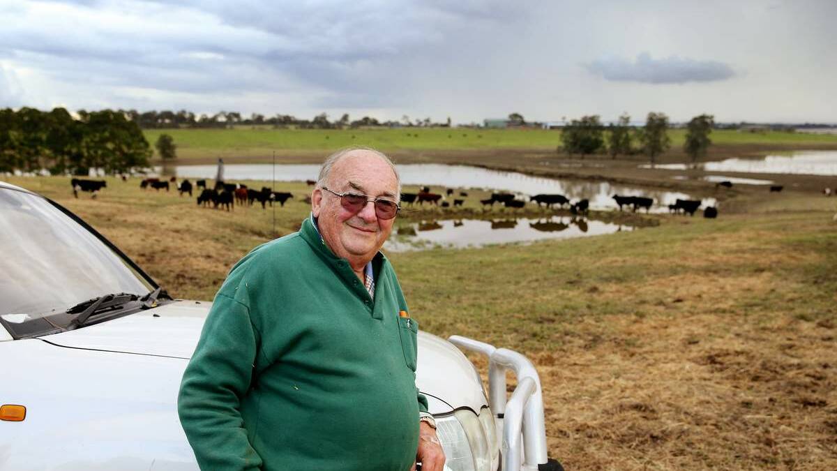 Berry Park resident Hilton Grugeon said a neighbour rescued two calves on his property with  an aluminium boat. Picture: Ryan Osland