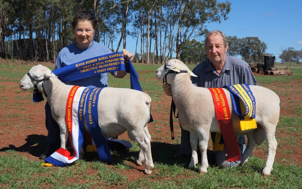 YOUNG STARS: Rosalie Smith with Sydney Royal grand champion Galaxy Ironwood and Rod Smith with the Royal Reserve Champ Galaxy Oakwood.