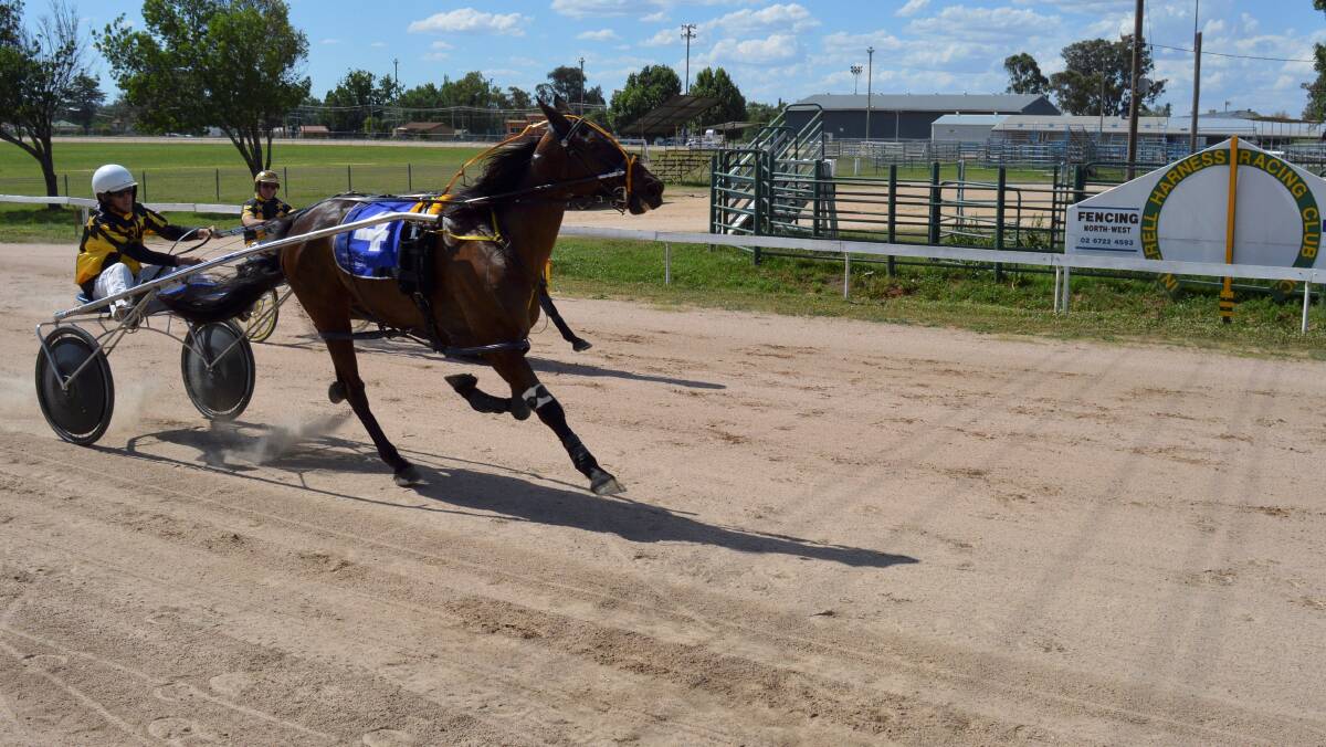 ONE FOR THE BOOKS: Inverell RSM Club pace winner No Fixed Address set a new track record for the 1639 metres with 2.008.