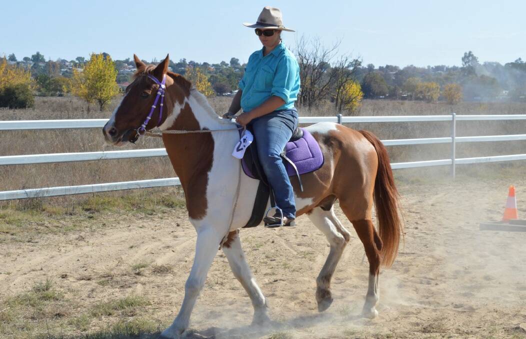 TESTING: Stevie Goodridge puts her horse Diego through some unfamiliar paces.
