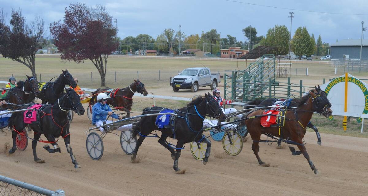 RACE: No. 1, Kudos Dasher pokes a nose in front of Hayabusa Flyer (no. 4), Artistic Double (No. 2) and McArdle’s Star (No. 8), to win race three on Saturday.