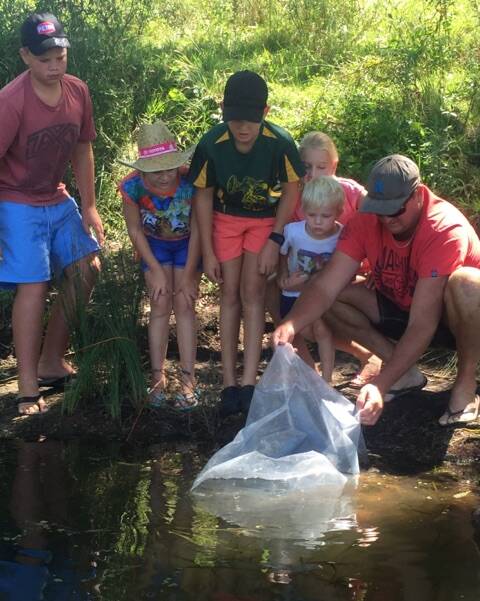 Junior members of the Inverell RSM Fishing Club watch Jason Gobbert release Murray cod fingerlings into the river.