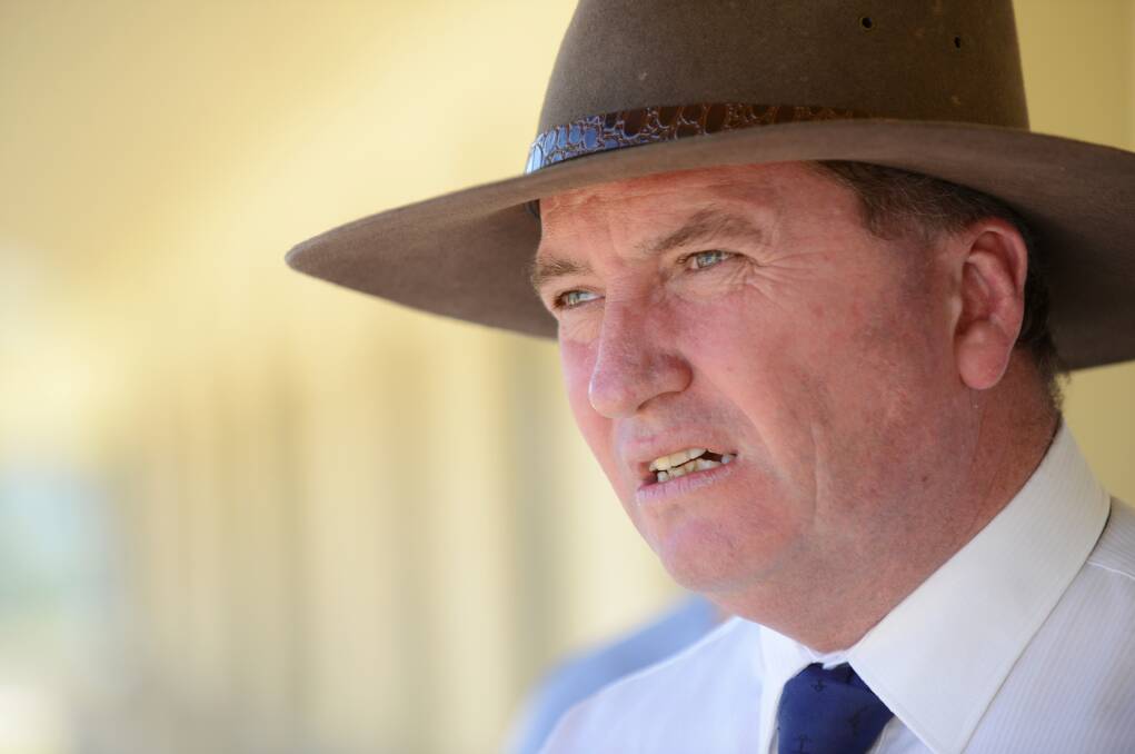 Deputy Prime Minister Barnaby Joyce considered the Indigenous parliamentary body unrealistic, but remained open to the possibility of a treaty.