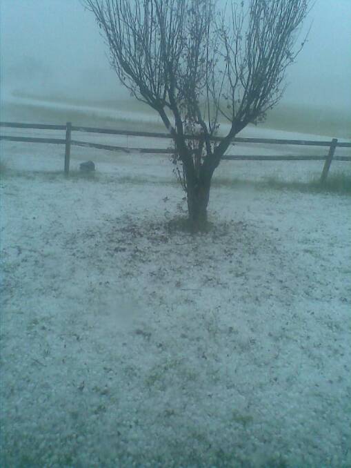No, it's not snow. Hail covered the ground at Graman on Saturday, March 21.