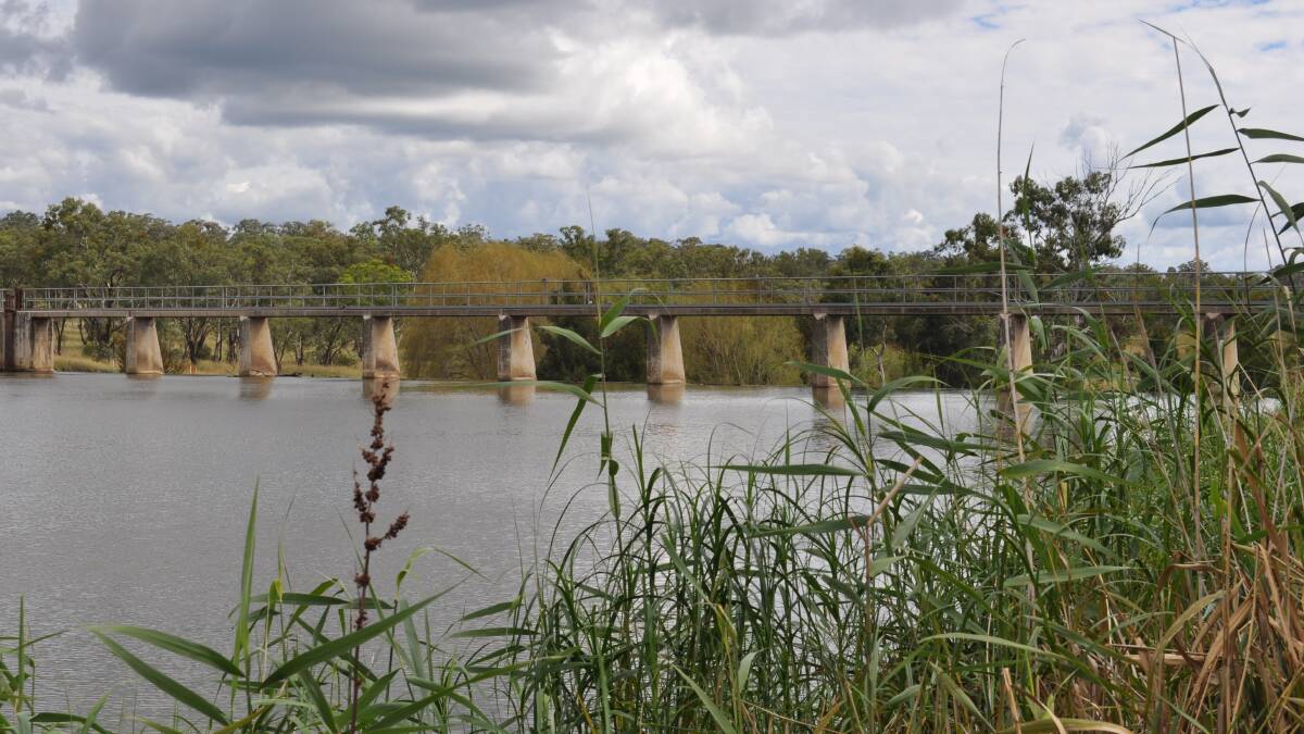 Hot weather and low river cause blue-green algae outbreak at Lake Inverell