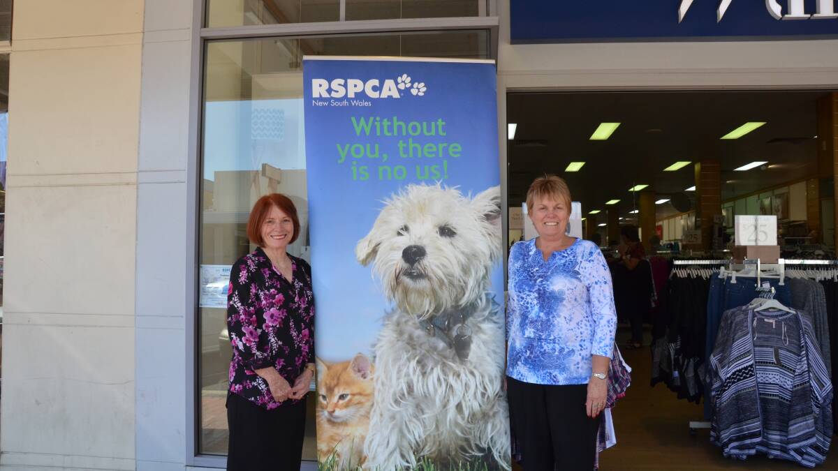 Fashion show fundraiser to support RSPCA in Inverell