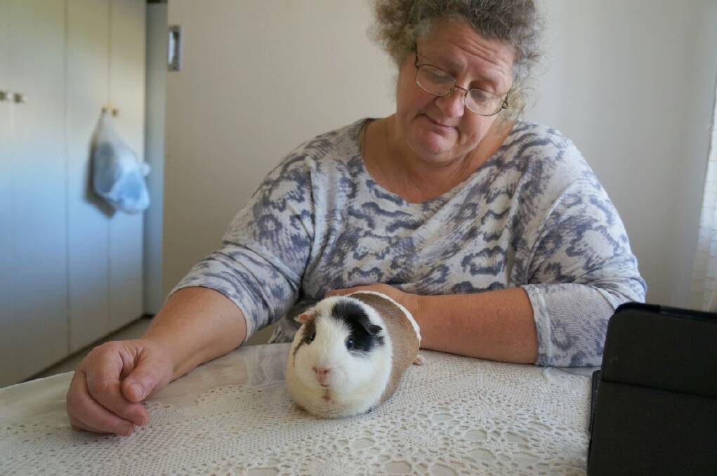 Sue Baker with one of her rescued guinea pigs named Pixie.