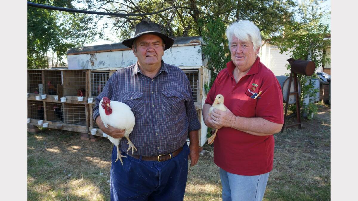 John and Julie D'Este have helped to reinstate poultry at the 2015 Bundarra Show in their son's name.