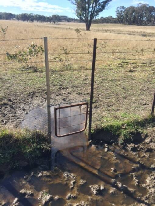 An example of the wildlife gate created by Uralla farmer Gordon Williams.