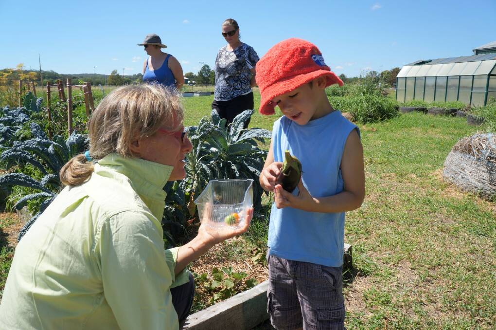 GROWING IN THE GARDEN: Jane O’Brien with young Ollie Thomas in the garden   during one of the Inverell autism support group garden mornings.