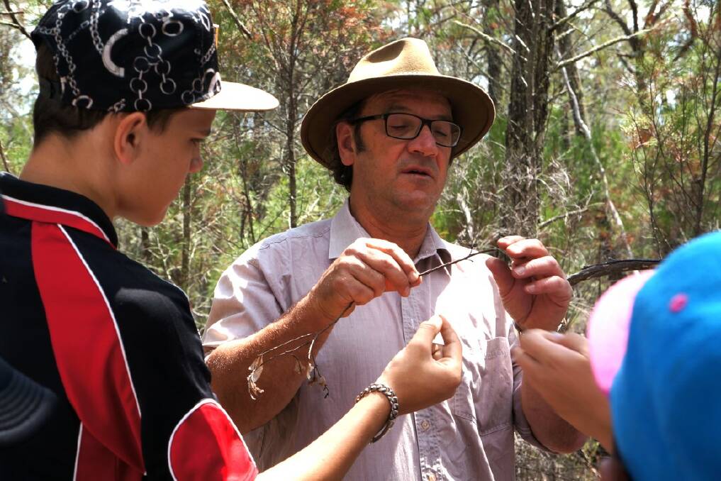 ATTENTION TO DETAIL: Armidale-based botanist David Carr points out the formation of gumnuts on a eucalypt to student Tyrone Neilson. 