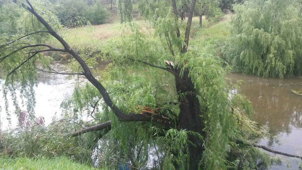 Power outages across Northern Tablelands