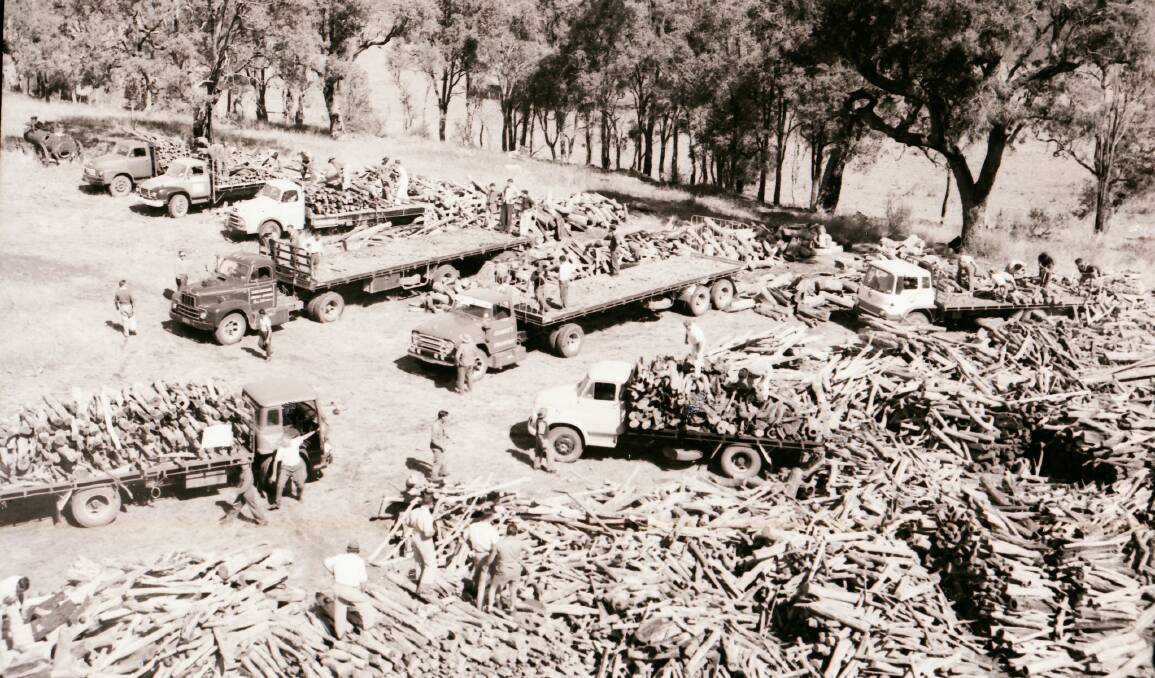 Fuel by the tons: The unloading of wood at Inverell Hospital after one of the parades.