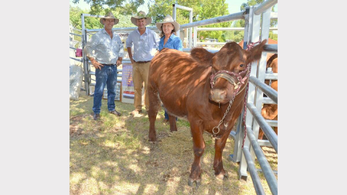 Three Delungra area breeders: Ross Gibson of Eastbank Devons, Tim Lloyd of Heitiki Droughtmasters and Belinda Ross of Emross Shorthorns with her heifer, Emross Rubies and Pearls.