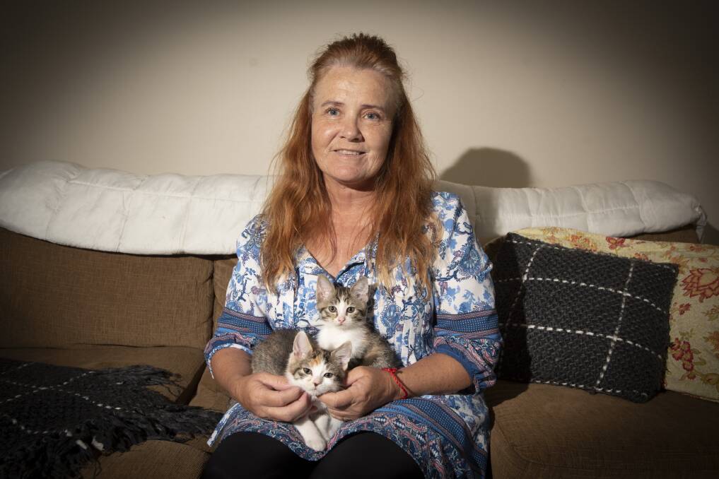 Brighter Future Cat Rescue volunteer Robyn Macari is hoping people donate in honour of the late Betty White to help kittens like Faith and Fancy. Photo: Peter Hardin
