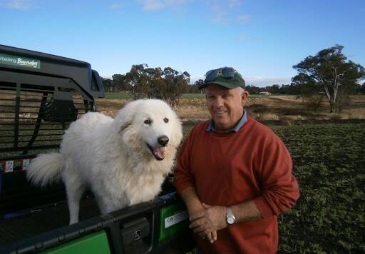 Mr Williams has returned to farming on 'Clifton' since retiring from Politics in 2019. Picture supplied