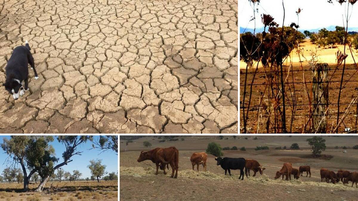 How you can help New England-North West farmers survive the drought | PICS, VIDEO