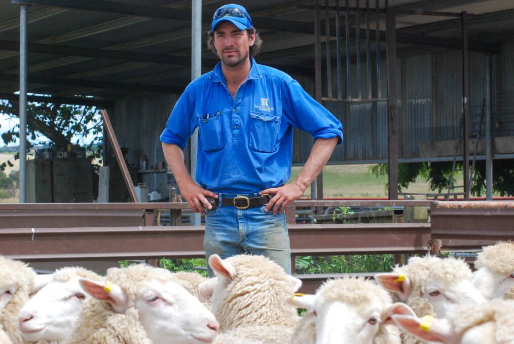 Grazier Austin McLennan is concerned particulates from the incinerator will fall on his land, affecting his export lamb business. Photo: John Hanscombe