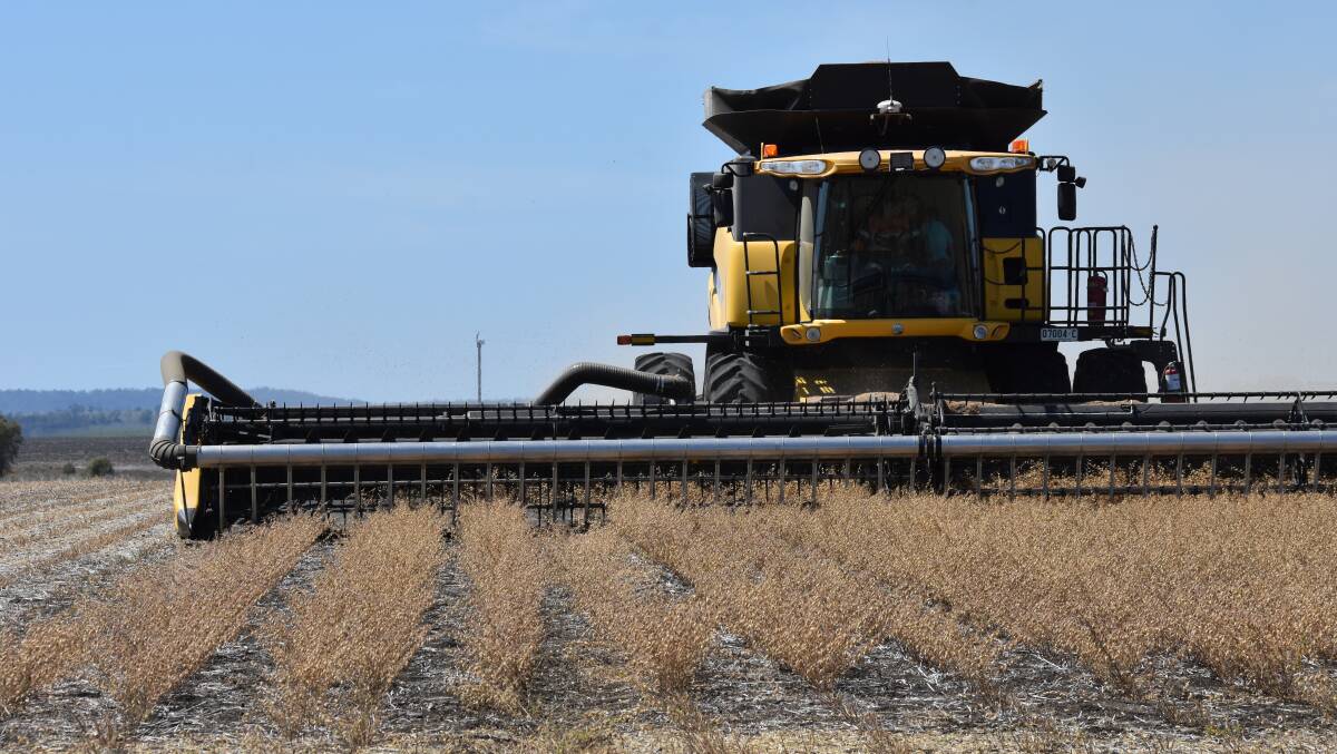 Harvest has already begun on this property near Gurley, south-east of Moree. Photo: Sophie Harris