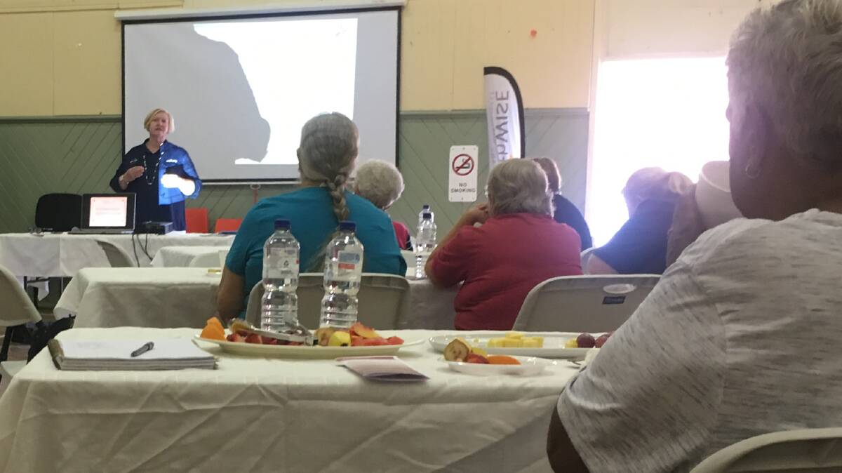 HealthWISE primary health care nurse Chris Connor presenting a health talk at a similar pamper event in Bundarra on Monday.