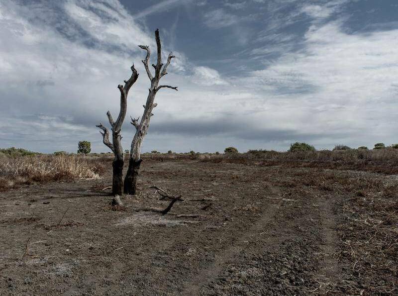 Drought conditions likely to continue across NSW