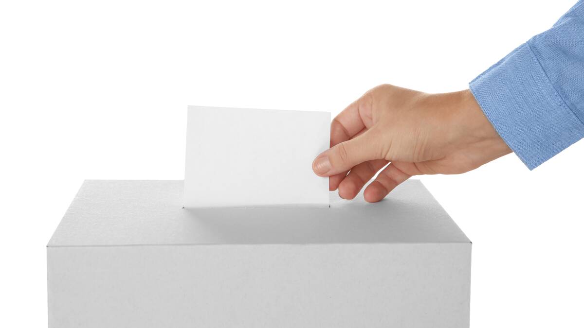 Explainer: How to vote early and safely in the COVID election