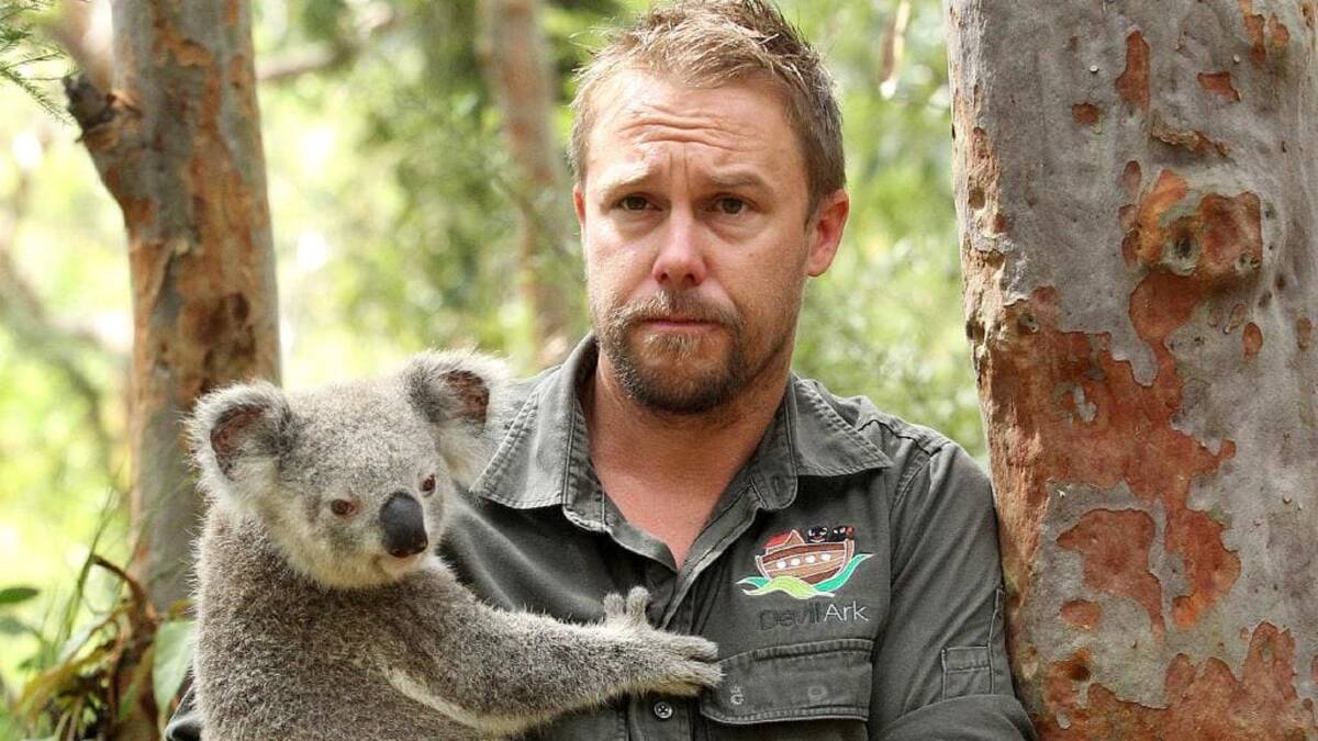 Aussie Ark president Tim Faulkner initiated a fundraising campaign to create a koala sanctuary in the Barrington Tops in December 2019. Photo supplied by Aussie Ark