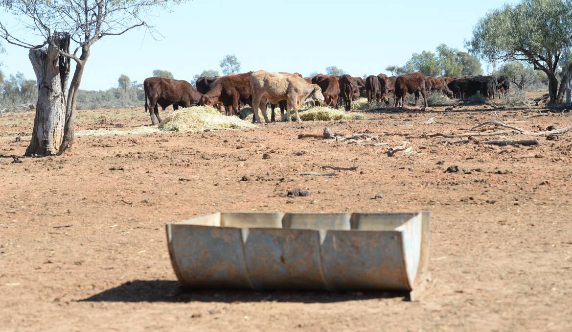 Mal Peters says the Australian public have been incredibly generous in helping farmers in this drought but it was up to the Government to provide the lion's share of help.