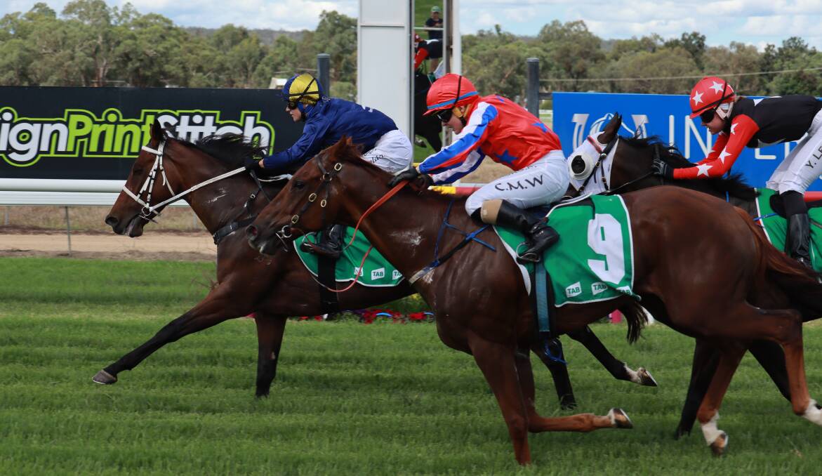 FIRST RIDE: Moree's Jacob Golden rode Frivolosophy in the winning race, coming ahead of Schreck's husband who riding Sassy Sarah. Photo: Jacinta Dickins