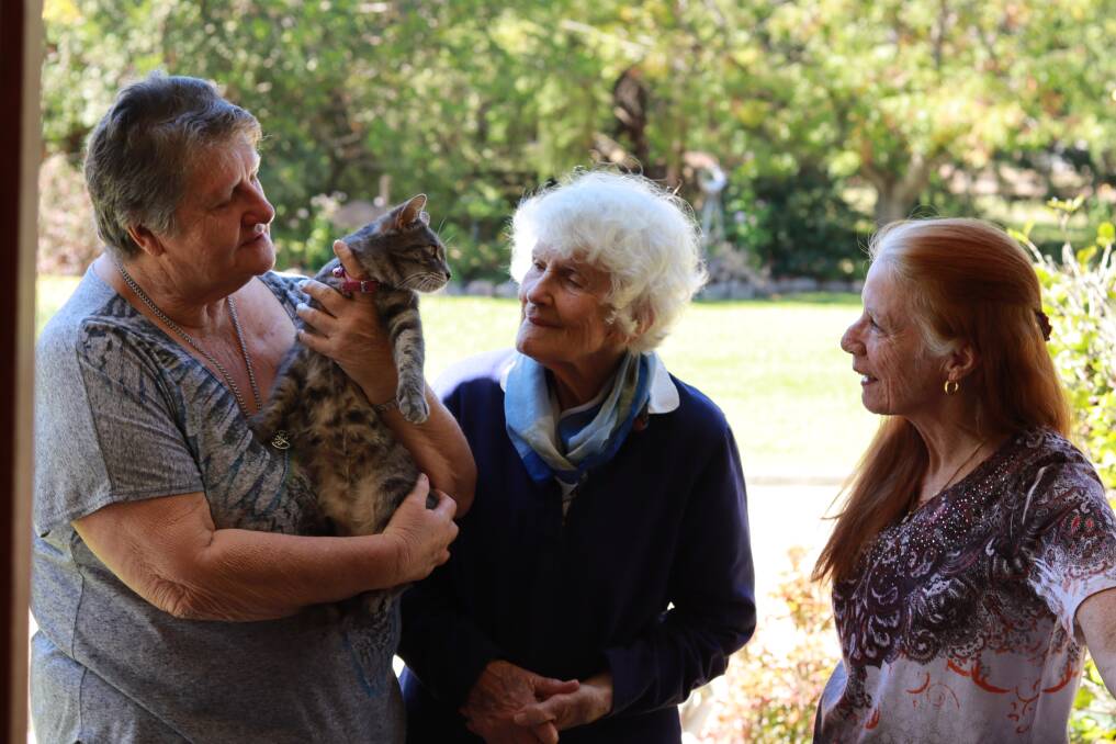 NO LOVE: Barb Davis, Judy Bloomfield and Margaret Payne from Inverell's RSPCA said not one inquiry has been made to adopt a cat. Photo: Jacinta Dickins