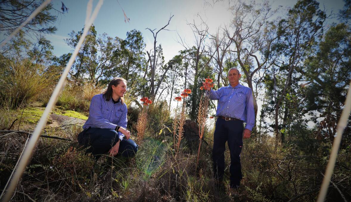 POWER TEAM: Bisosecurity officer for New England Weeds Authority is proud to welcome Inverell Shire Council's biosecurity officer Geoff Riley to their team, as part of their expansion into the Shire. PHOTO: Jacinta Dickins